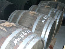 ちょんがりぶし　日本醗酵化成