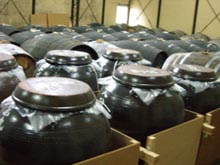 ちょんがりぶし　日本醗酵化成