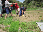 長靴だけ残り、大根のように