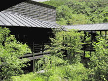 緑あふれる中に金山蔵