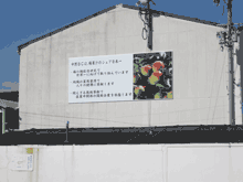 中野ＢＣ