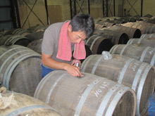 日本醗酵社長の息子さん（専務さん）