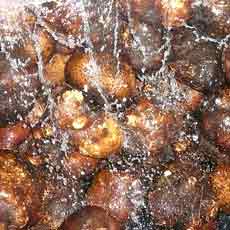 加賀丸いも焼酎